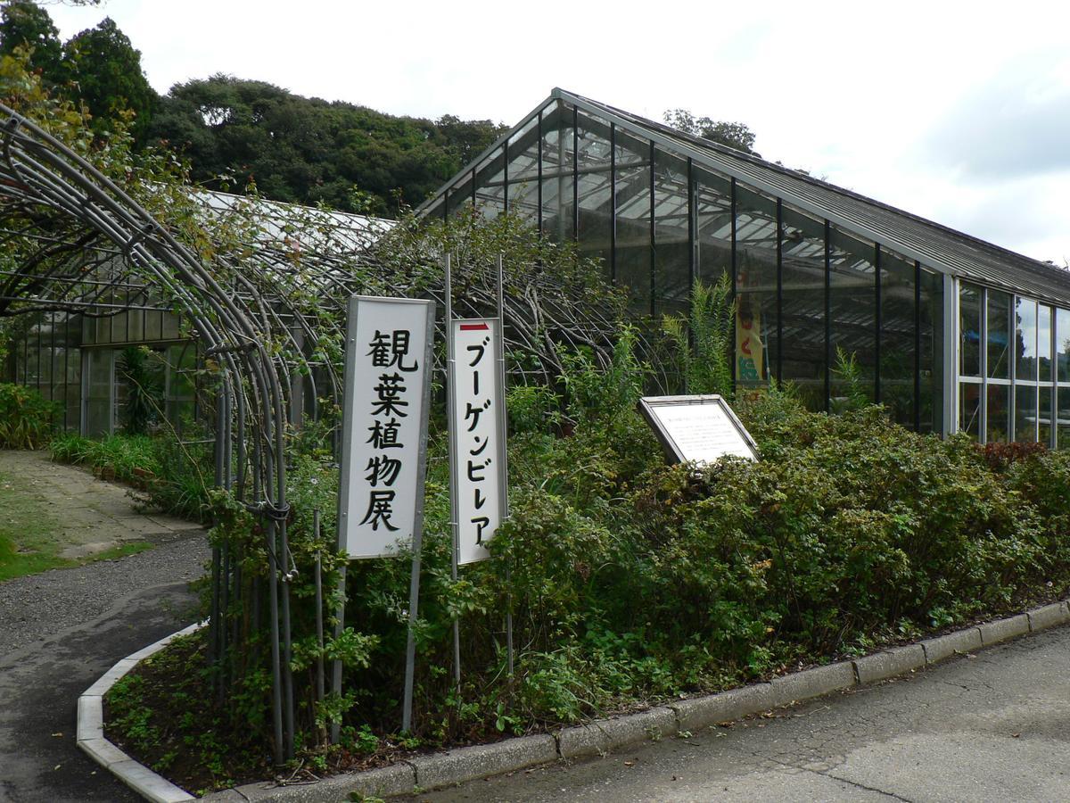 Hotel New Kanei Shirako Esterno foto
